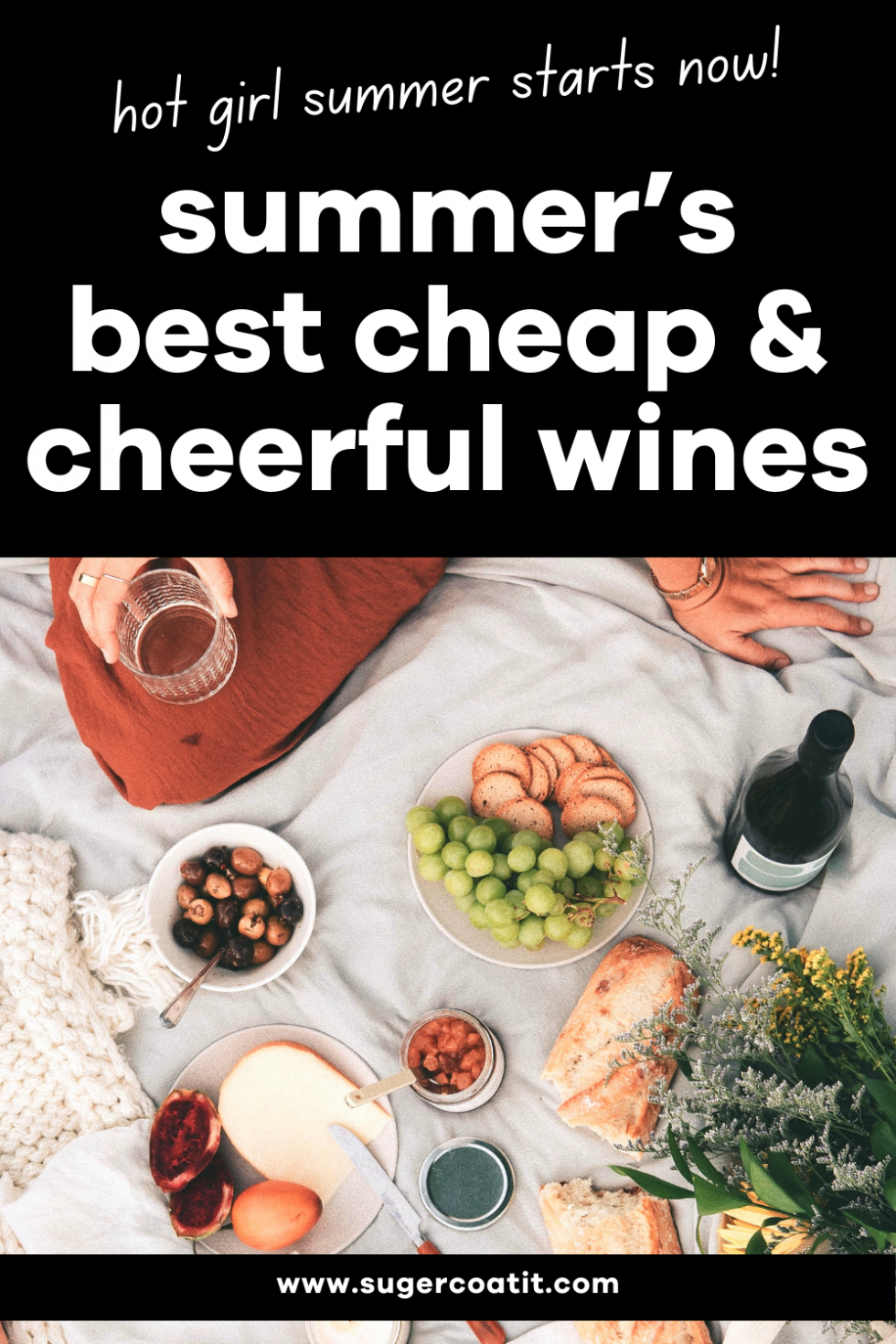 Summer's Best Cheap and Cheerful Wines • Suger Coat It